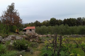 Maison de pêcheur Krunica, foto 12
